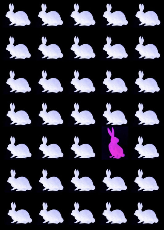 Don't Follow #8 (What Is Reality Anyway?)